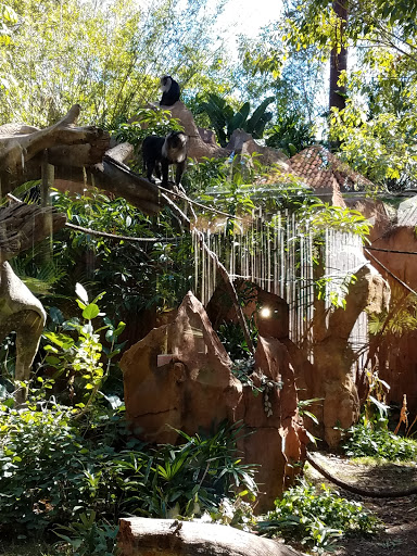 Performing Arts Theater «Blue Man Group», reviews and photos, 6000 Universal Blvd, Orlando, FL 32819, USA