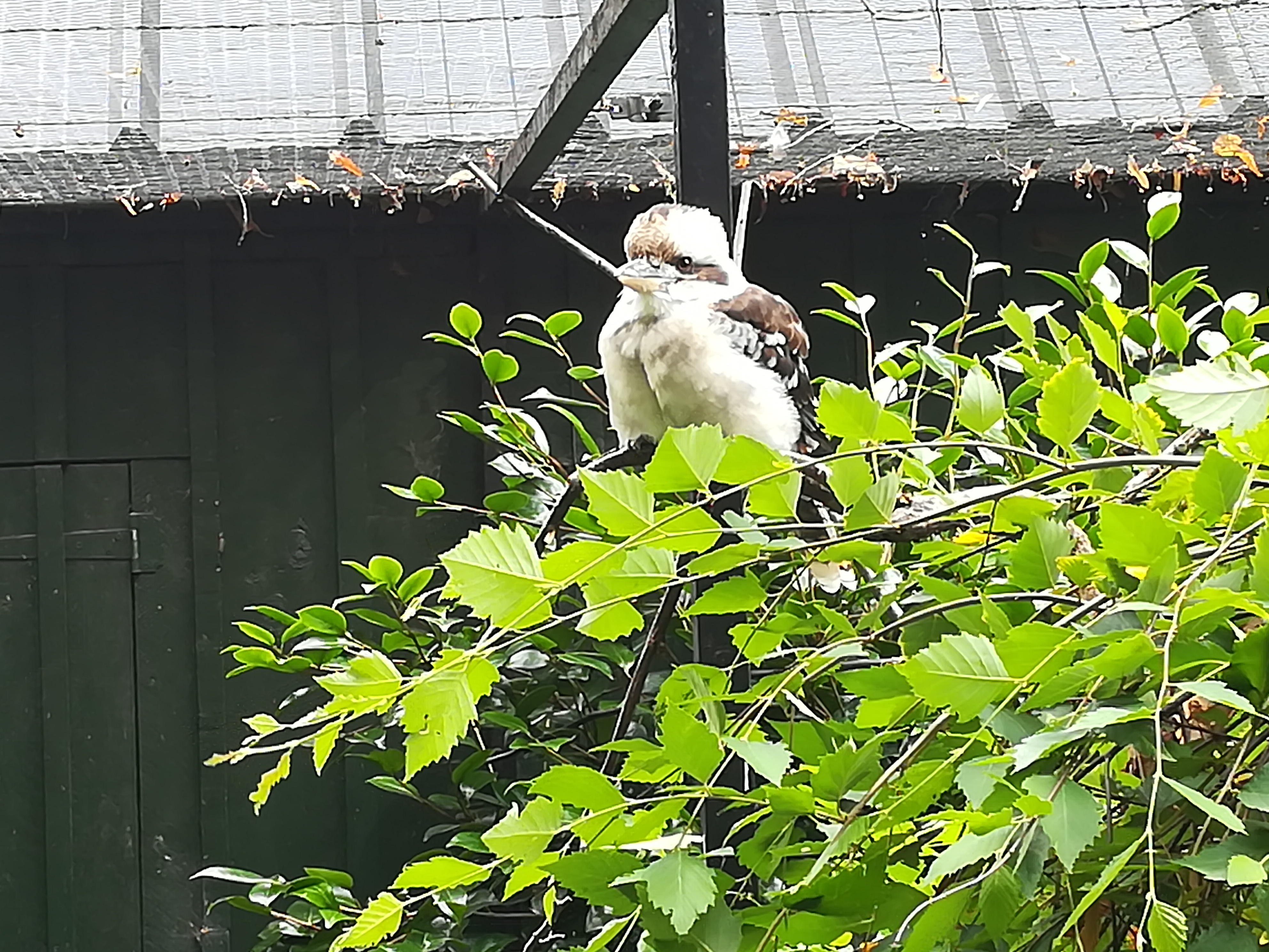 Photo n° 29 de l'avis de Christophe.A fait le 26/07/2020 à 19:03