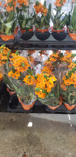 Department Store «Walmart Supercenter», reviews and photos, 2401 Highway 35 N, Rockport, TX 78382, USA