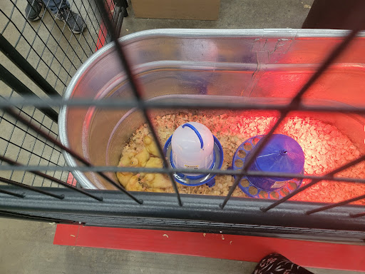 Home Improvement Store «Tractor Supply Co.», reviews and photos, 921 River Rd, Charlottesville, VA 22901, USA