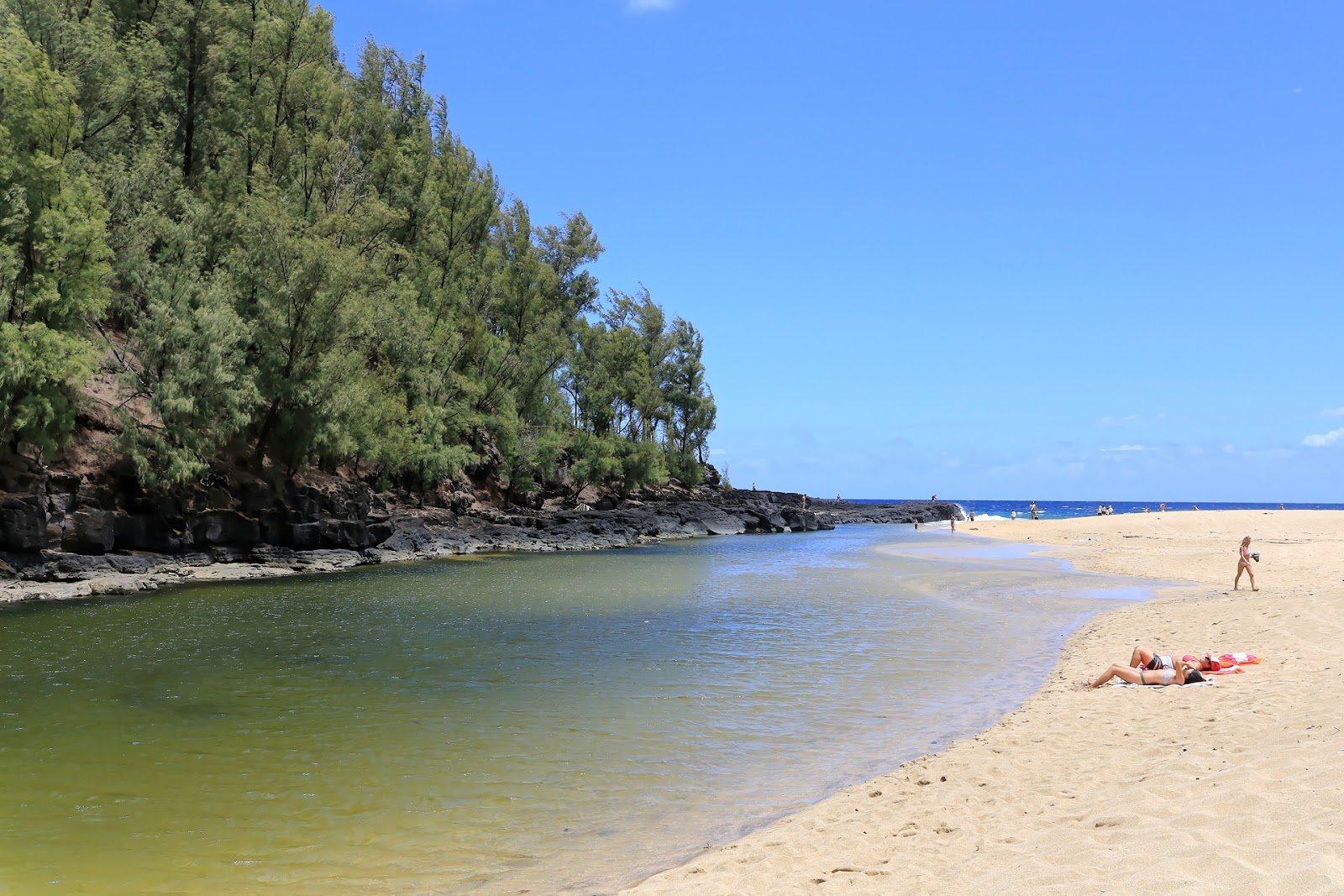 Foto von Lumaha'i Beach befindet sich in natürlicher umgebung