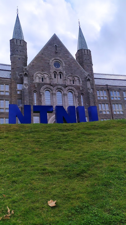 NTNU Alumni