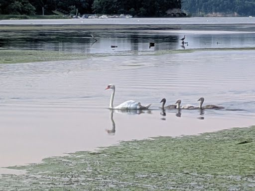 Canoe & Kayak Store «BayCreek Paddling Center, Inc.», reviews and photos, 1099 Empire Blvd, Rochester, NY 14609, USA