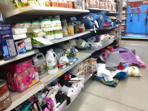 Discount Store «Walmart», reviews and photos, 10075 Bruceville Rd, Elk Grove, CA 95757, USA