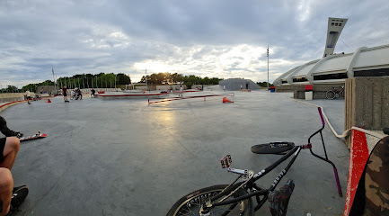 Vans skatepark