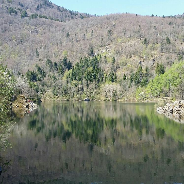 Photo n° 1 de l'avis de jarod.i fait le 12/04/2017 à 04:05