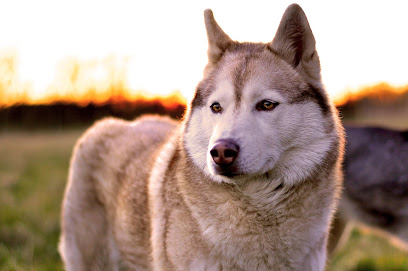 Hundestedet Vejen