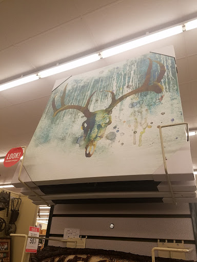 Craft Store «Hobby Lobby», reviews and photos, 4350 S Scatterfield Rd, Anderson, IN 46013, USA