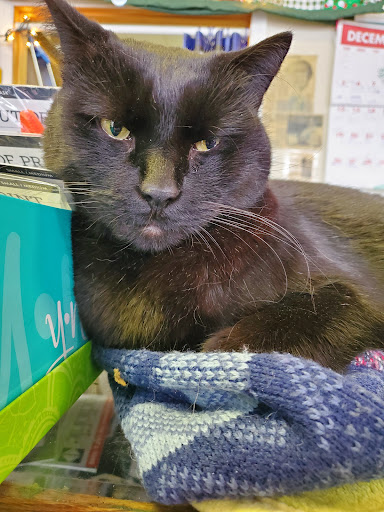 Book Store «From My Shelf Books & Gifts», reviews and photos, 7 East Ave #101, Wellsboro, PA 16901, USA