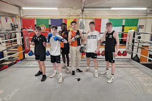 The hornets boxing club image