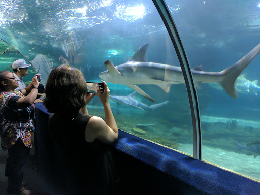 Aquarium «Greater Cleveland Aquarium», reviews and photos, 2000 Sycamore St, Cleveland, OH 44113, USA