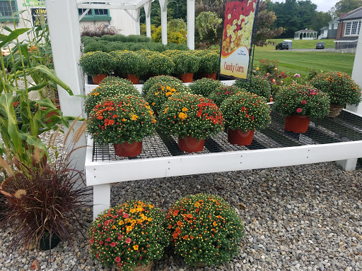 Florist «Colonial Flower Shoppe», reviews and photos, 611 Main St, Somers, CT 06071, USA