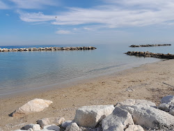 Spiaggia dei Pedaso'in fotoğrafı - rahatlamayı sevenler arasında popüler bir yer