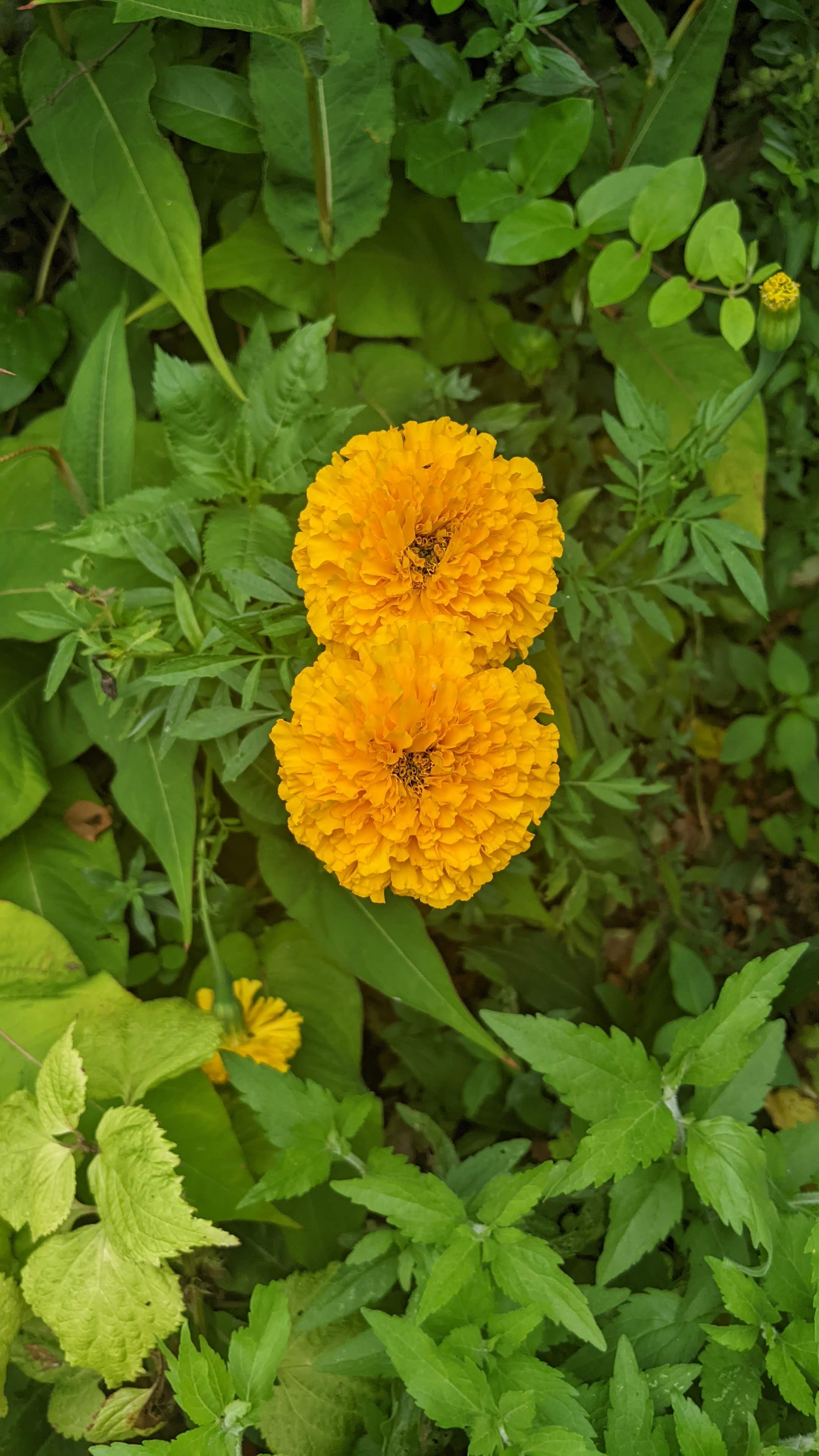 Photo n° 4 de l'avis de Jean-François.o fait le 28/07/2022 à 08:24