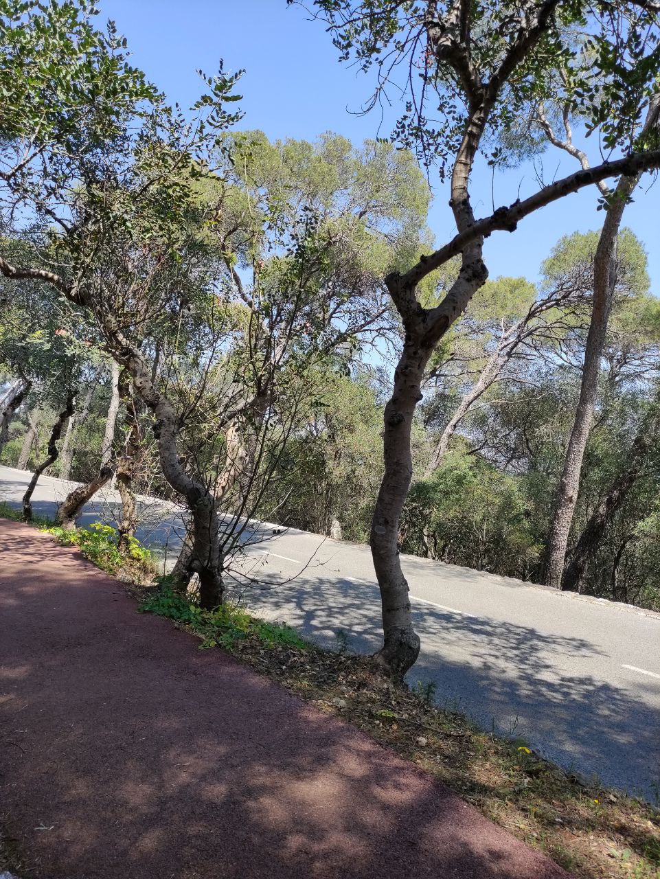 Photo n° 2 de l'avis de Michel.a fait le 29/04/2022 à 17:33