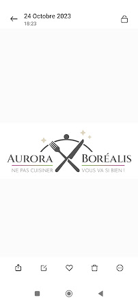 Photos du propriétaire du Restaurant Aurora boréalis à Gron - n°5
