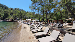 Fimi Island Plaji'in fotoğrafı ve yerleşim