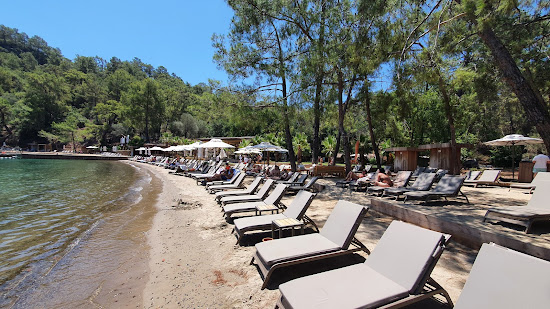 Fimi Island Plaji