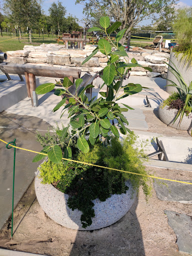 Golf Course «Glenbrook Park Golf Course», reviews and photos, 8205 N Bayou Dr, Houston, TX 77017, USA