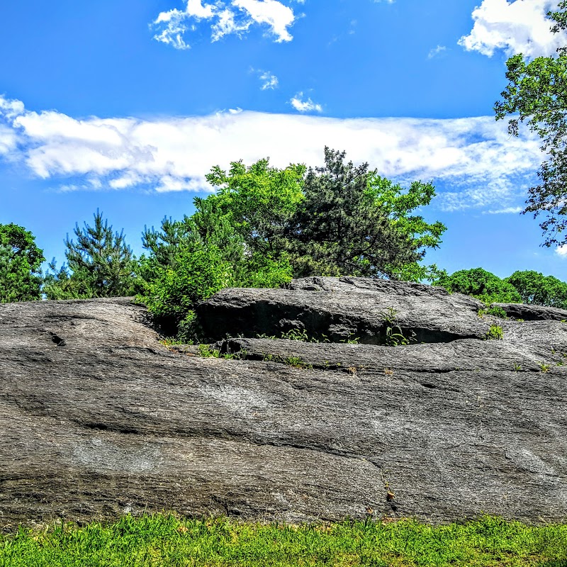 Franz Sigel Park