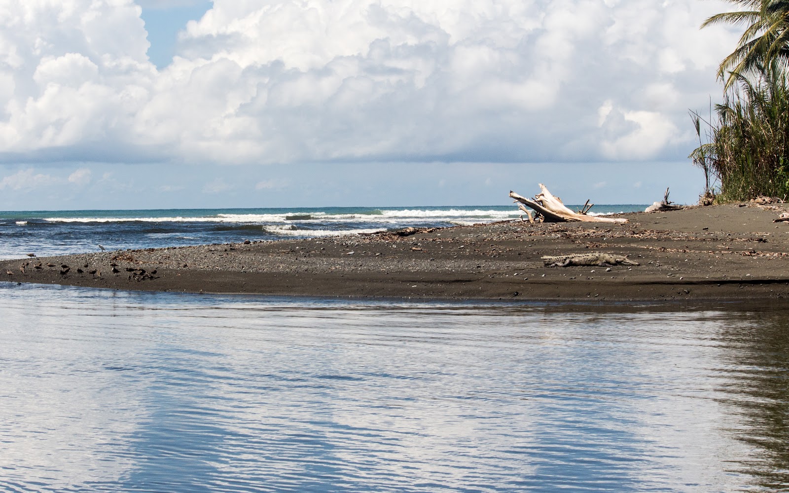 Foto de Playa Sirena com água turquesa superfície