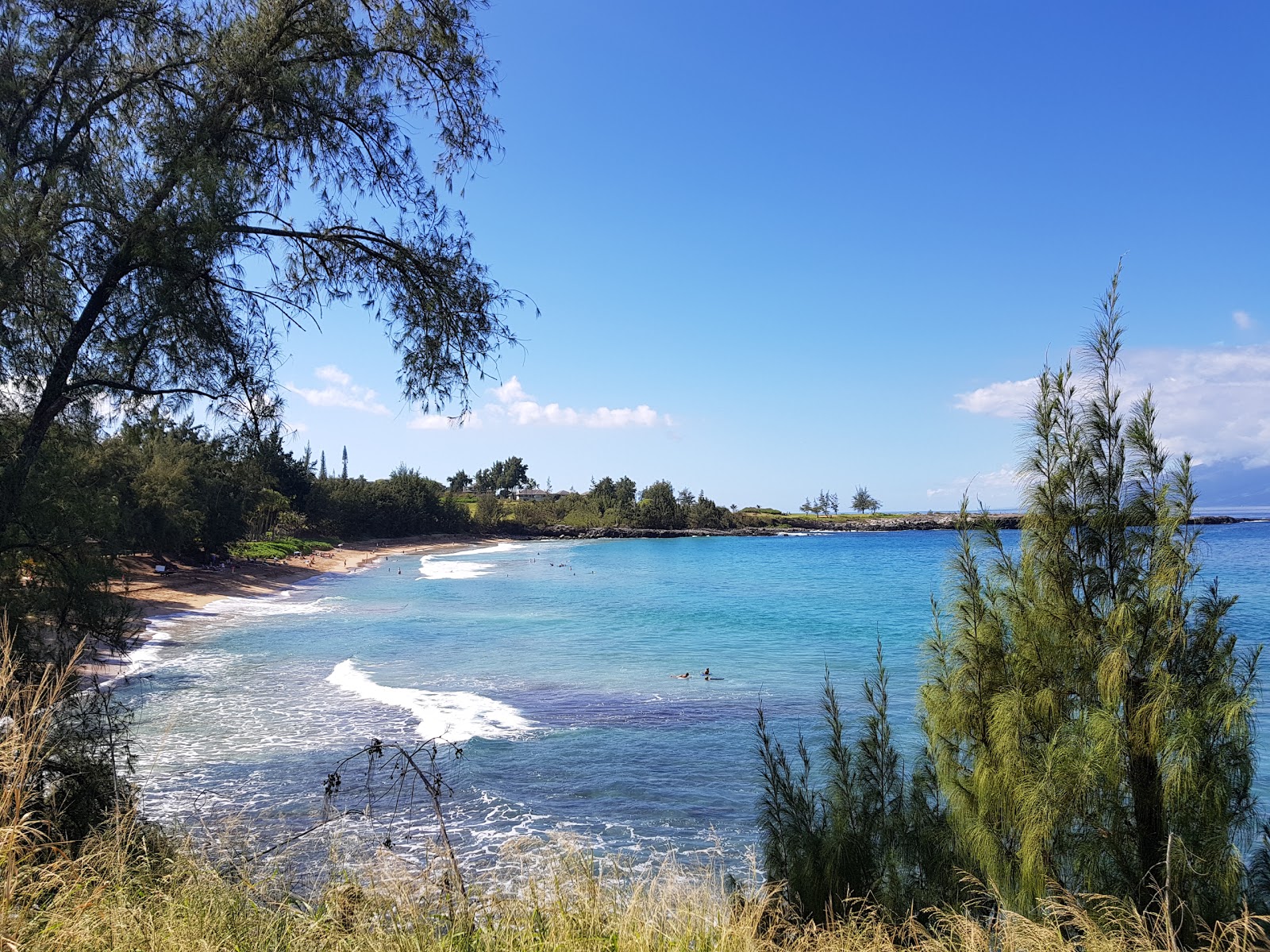Foto de Fleming Beach - lugar popular entre os apreciadores de relaxamento