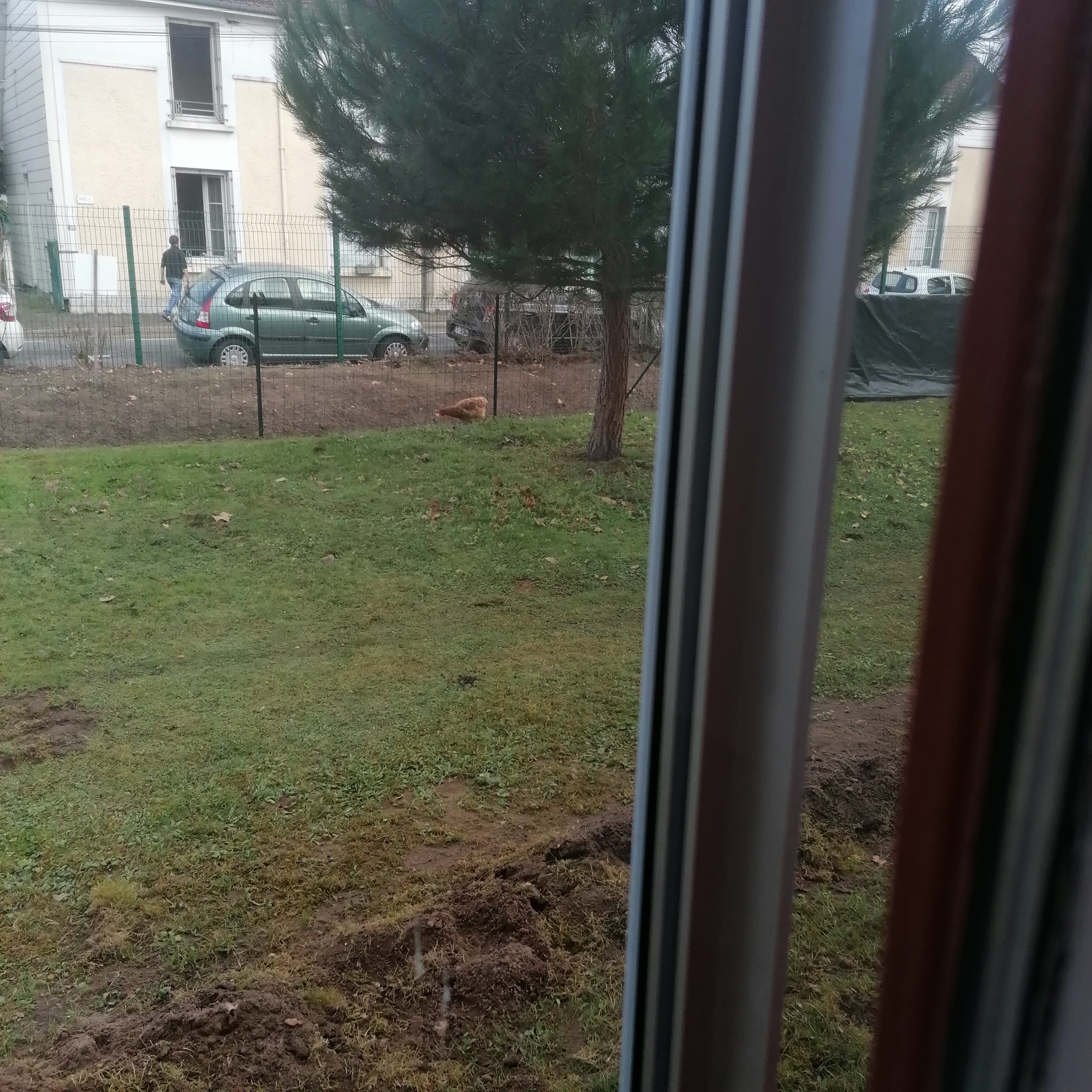 Photo n° 3 de l'avis de Monier.r fait le 28/02/2023 à 15:18