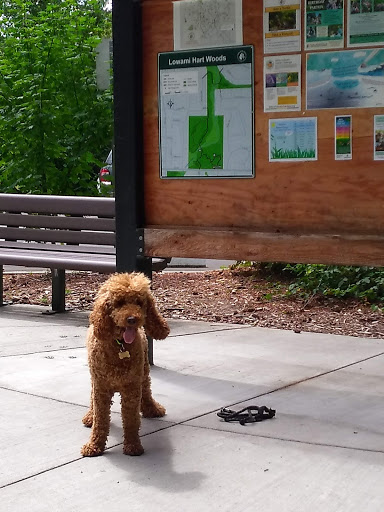 Nature Preserve «Lowami Hart Woods Natural Area», reviews and photos, 14895 SW Hart Rd, Beaverton, OR 97007, USA