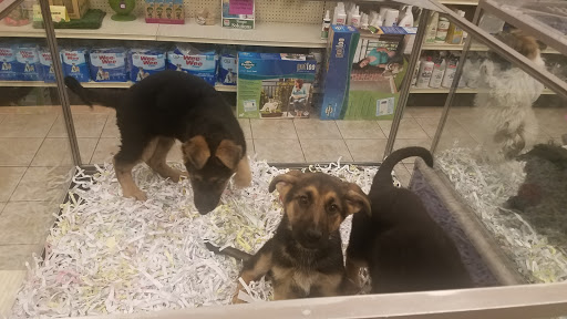 Pet Store «Pet City Pet Shops», reviews and photos, 750 Citadel Dr N # 2092, Colorado Springs, CO 80909, USA