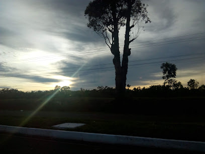 Parkway Pet Resort Núcleo Bandeirante Brasília