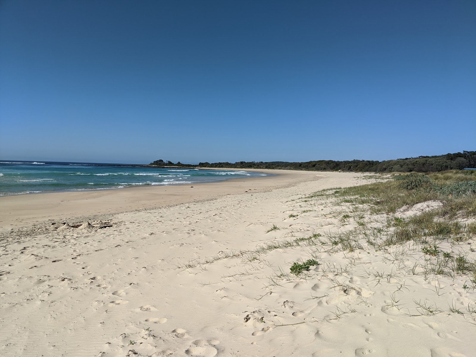 Fotografie cu Racecourse Beach - locul popular printre cunoscătorii de relaxare