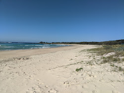 Foto di Racecourse Beach ubicato in zona naturale