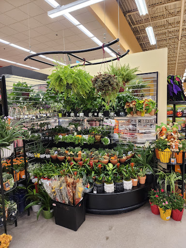 Grocery Store «Hannaford Supermarket», reviews and photos, 2 Freetown Rd #27, Raymond, NH 03077, USA