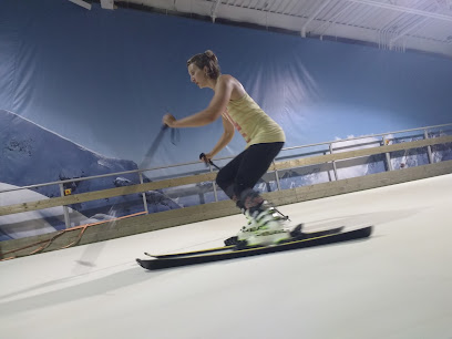 Alpine Indoor Ski and Snowboard Training Centre