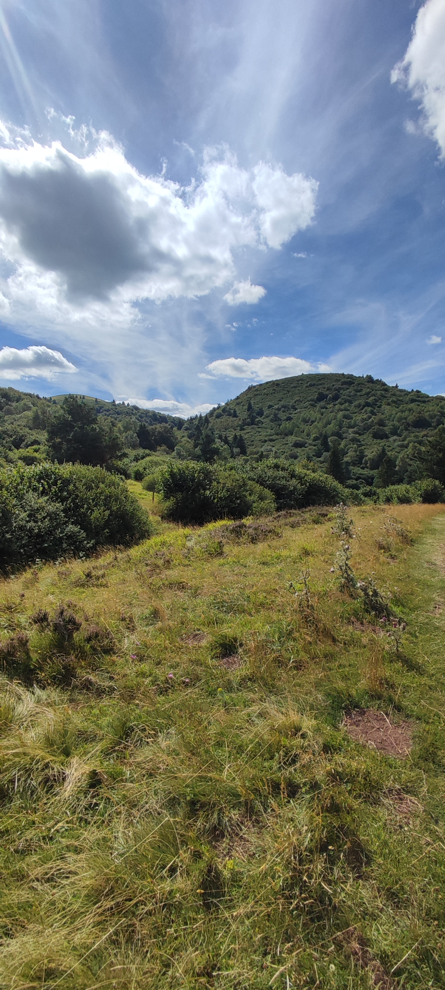 Photo n° 16 de l'avis de Romain.o fait le 16/08/2023 à 19:56