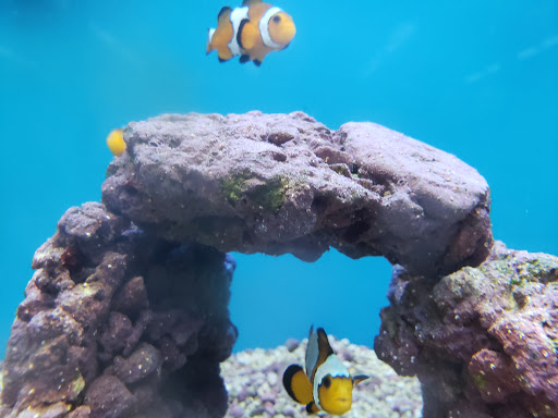 Pet Supply Store «Petco Animal Supplies», reviews and photos, 1574 N Dupont Hwy #300, Dover, DE 19901, USA