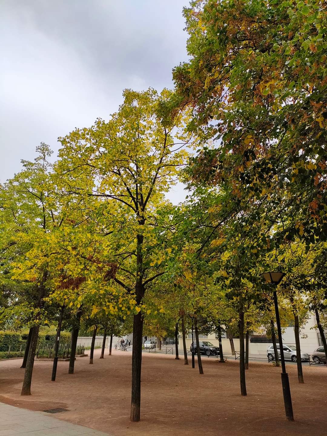 Photo n° 12 de l'avis de Nissa.z fait le 23/09/2022 à 21:23