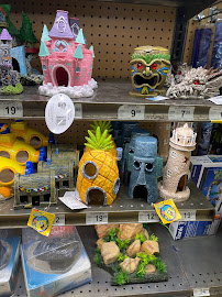 Petco - Photo 6 - Car repair in Omaha, NE, Omaha