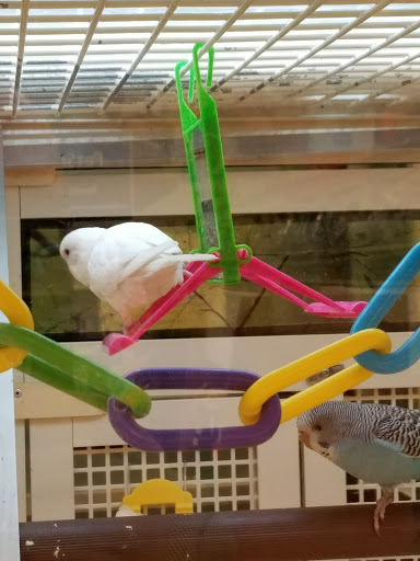 Pet Supply Store «PetSmart», reviews and photos, 13337 Worth Ave, Woodbridge, VA 22192, USA