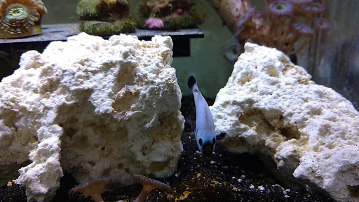 Pet Supply Store «Sunflower Natural Pet Supplies», reviews and photos, 514 Pillsbury Dr, Manhattan, KS 66502, USA