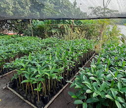 Taman Wisata Mangrove Bhadrika photo