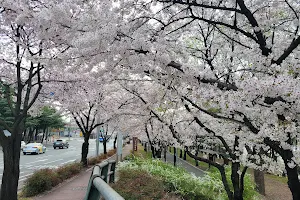 Kkotbora Park image