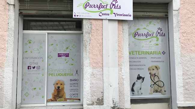 Veterinaria Purrfect Pets