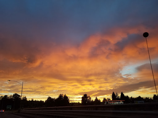 Shopping Mall «Evergreen Shopping Center», reviews and photos, 5015 Tacoma Mall Blvd, Tacoma, WA 98409, USA