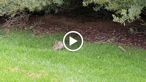 Golf Course «Sinaloa Golf Course», reviews and photos, 980 Madera Rd, Simi Valley, CA 93065, USA