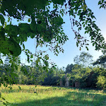 Photo n°12 de l'avis de Yvonne.p fait le 06/09/2023 à 19:11 sur le  Waldhotel Eiche à Burg