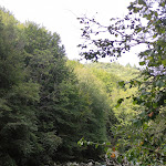 Photo n° 12 de l'avis de Alti. fait le 15/08/2021 à 10:33 pour Pont de l'Abîme à Gruffy