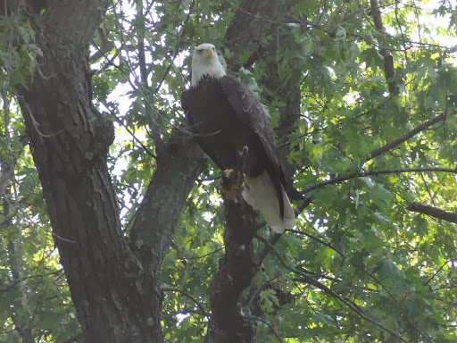 Canoe & Kayak Store «Cannon Falls Canoe and Bike Rental», reviews and photos, 615 N 5th St, Cannon Falls, MN 55009, USA
