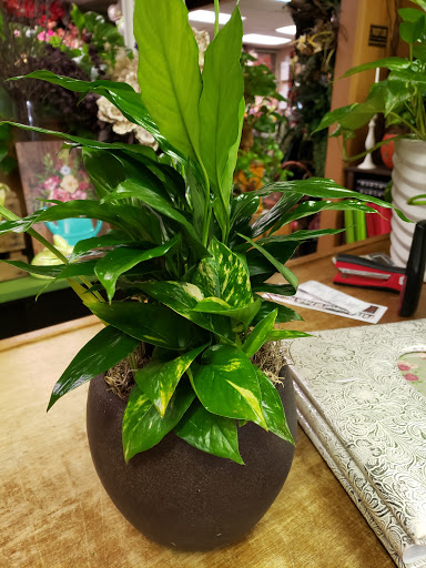 Florist «Flowered Occasions», reviews and photos, 115 W Main St, Plainfield, IN 46168, USA