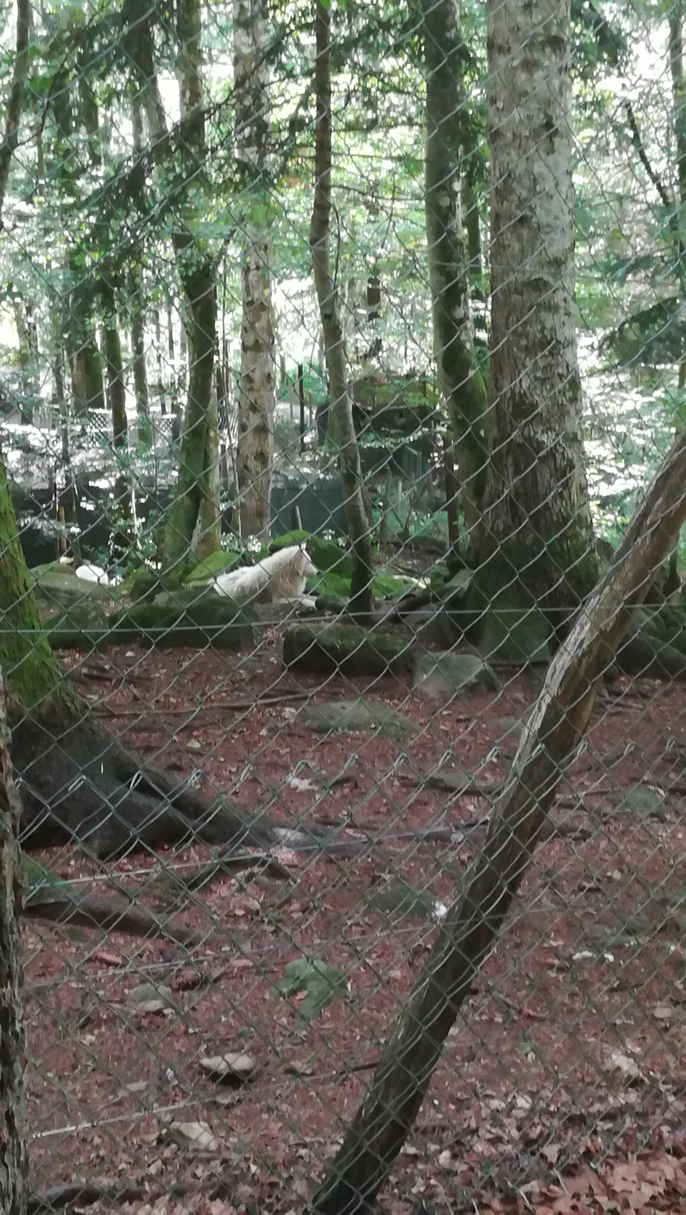 Photo n° 3 de l'avis de Melanie.a fait le 23/08/2018 à 08:47